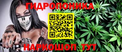 apvp Краснокаменск