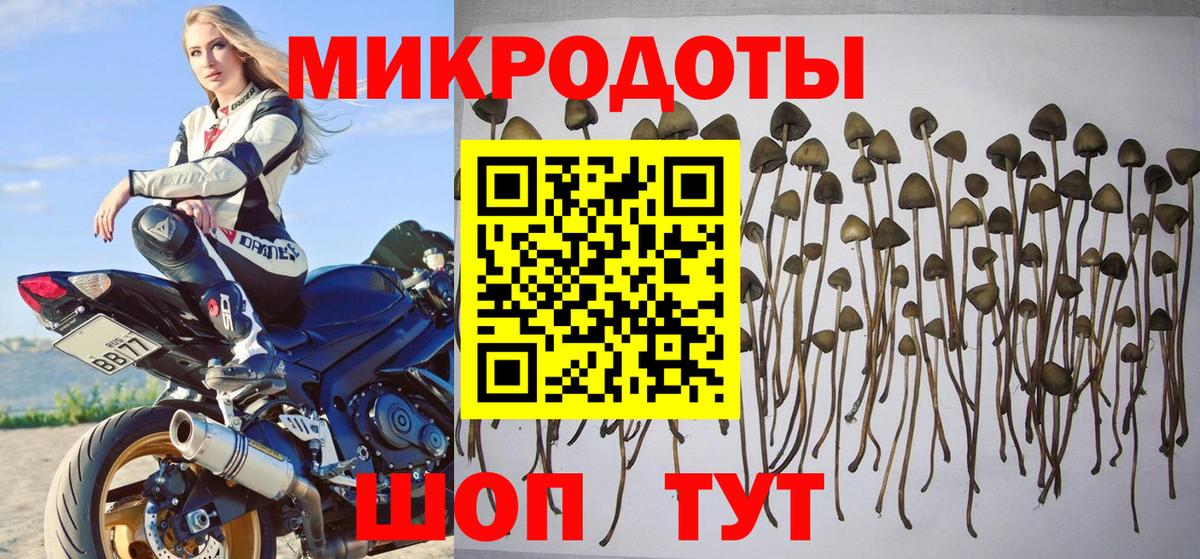 Камышлов  Псилоцибиновые грибы ЛСД  Вход с VPN 