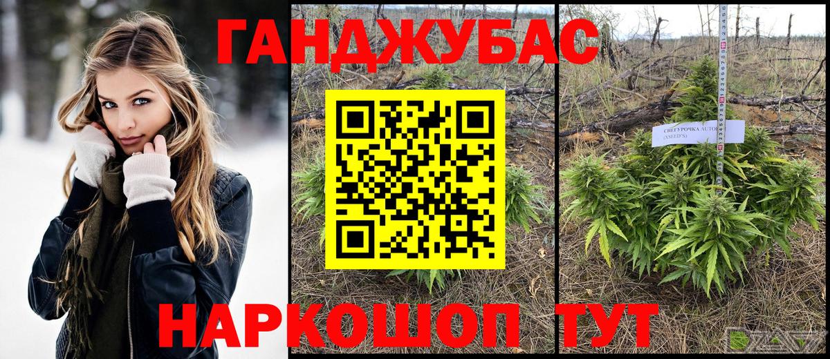 Шишки марихуана ГИДРОПОН  МАРИХУАНА марихуана  Канабис планчик  Вход с VPN  Камышлов  Каннабис OG Kush 